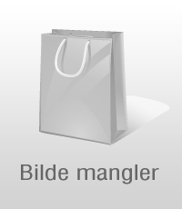 Bagasjetagger